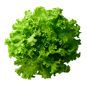 Salata